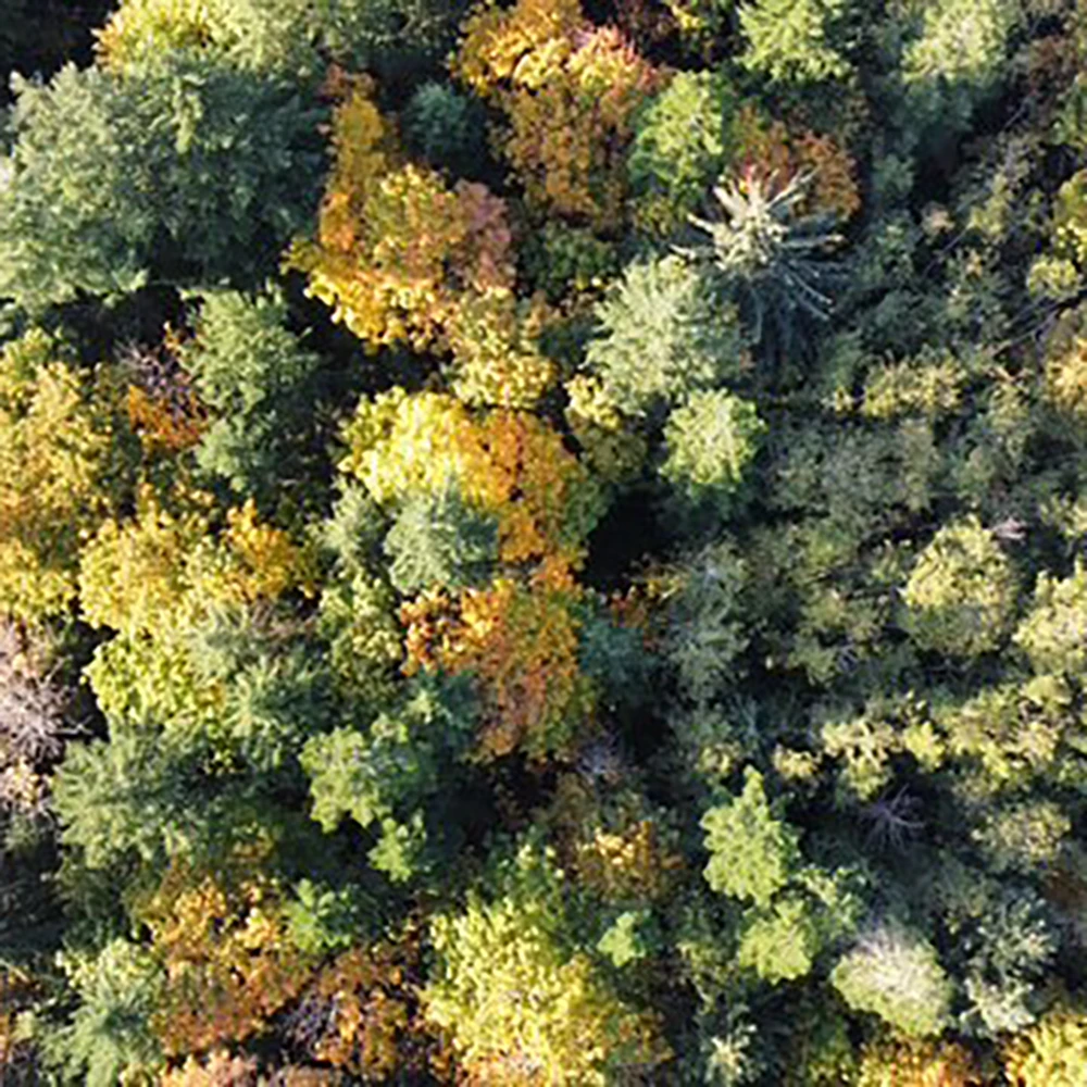 SQUARE-datum-design-Aerial-drone-photography-vancouver-island-comox-53